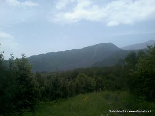 gala del Picchio-23-05-2014 22-59-52